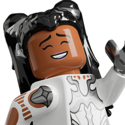 LEGO wide