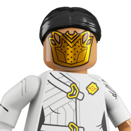 LEGO wide