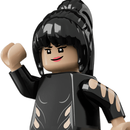 LEGO wide