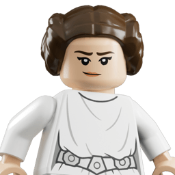 LEGO wide