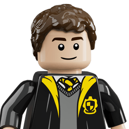 LEGO wide
