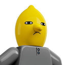 LEGO wide