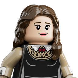 LEGO wide