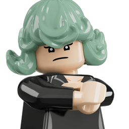 LEGO wide