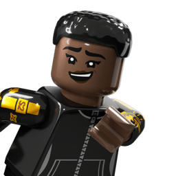 LEGO wide