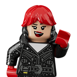 LEGO wide