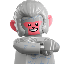 LEGO wide