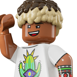 LEGO wide