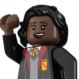 LEGO wide