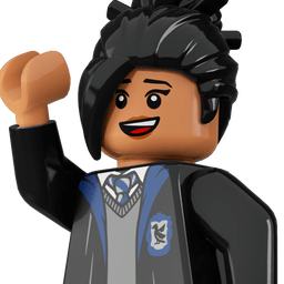 LEGO wide
