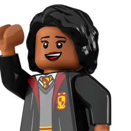 LEGO wide