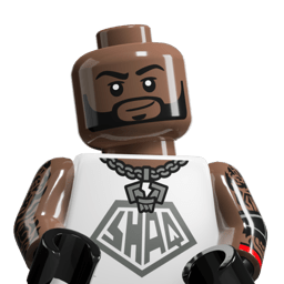 LEGO wide