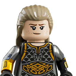 LEGO wide