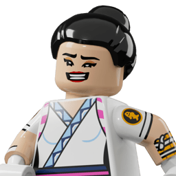 LEGO wide
