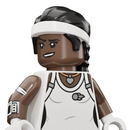 LEGO wide