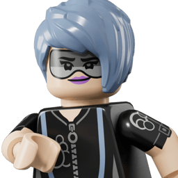 LEGO wide