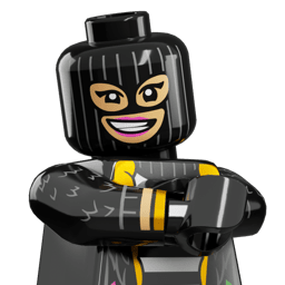 LEGO wide