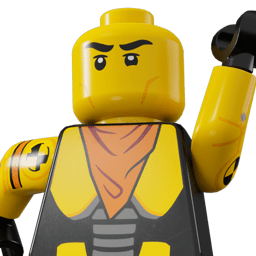 LEGO wide