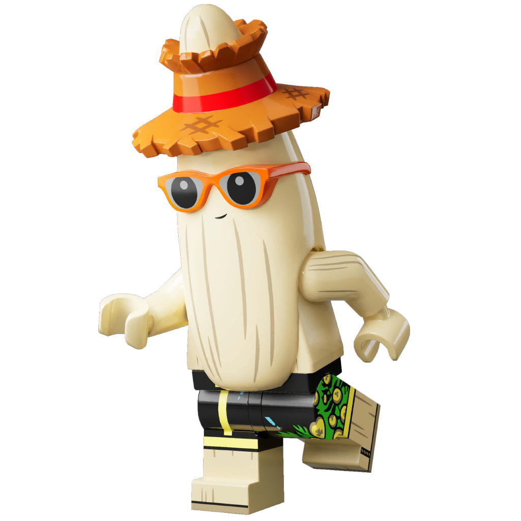 LEGO wide