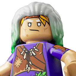 LEGO wide