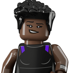 LEGO wide