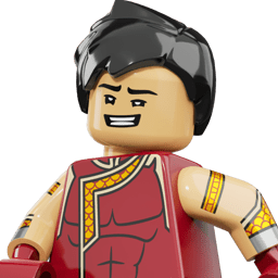 LEGO wide