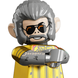 LEGO wide