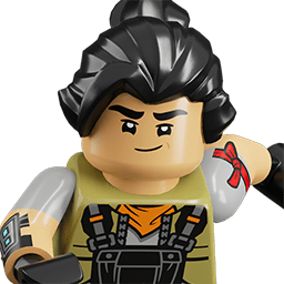 LEGO wide