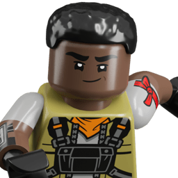LEGO wide